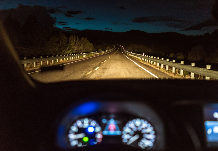 roadkill-in-alaska